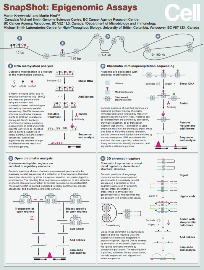 cell_epigenomicassays